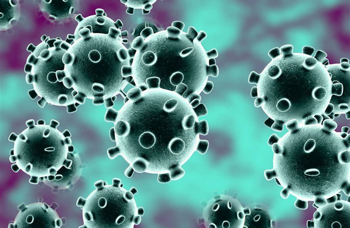 Koronavirus, české šílenství a snad přiměřená opatření vlády